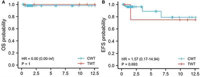 Teratoid Wilms Tumor and Classical Wilms Tumor: A Retrospective 10-Year Single-Center Study and Literature Review